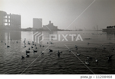 東京湾埋立地・お台場　1990年代の記録 11208468