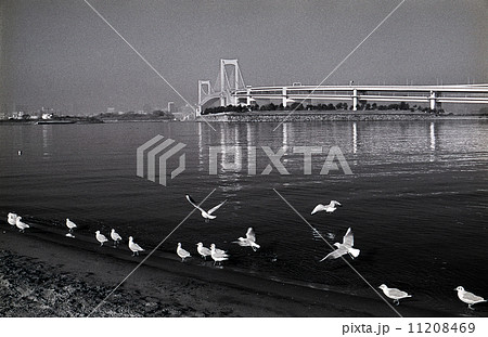 東京湾埋立地・お台場 1990年代の記録 東京湾埋立地・お台場 1990年代の記録 11208469