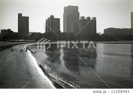 東京湾埋立地・お台場 1990年代の記録 東京湾埋立地・お台場 1990年代の記録 11208491