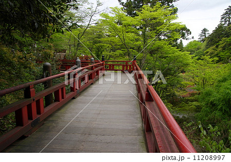 那谷寺の空中回廊(石川県小松市) 那谷寺の空中回廊(石川県小松市) 11208997