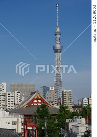 浅草寺とスカイツリー 11209003