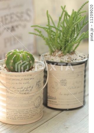 ガーデニング 11209020