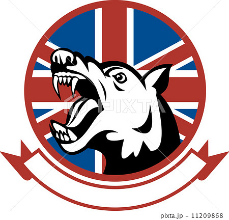 Angry Trained guard dog with british flag 11209868