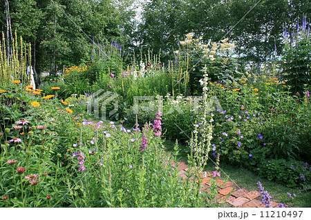 上野ファームの小道 11210497