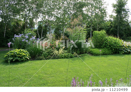 上野ファームの花壇 上野ファームの花壇 11210499