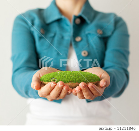 Fantastic island Fantastic island 11211846