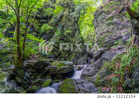 新緑のゴルジュ 11212154