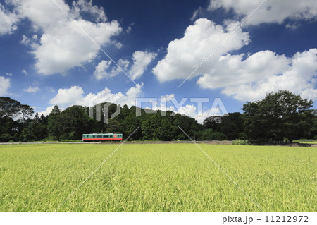 夏空を走る真岡鐵道 11212972