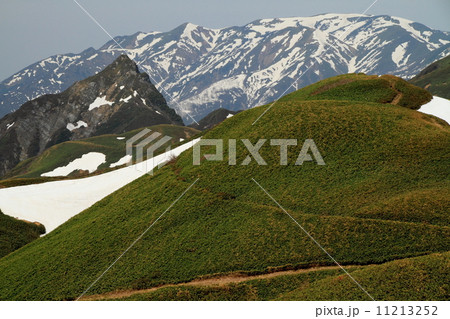 上越国境・蓬峠から大源太山と残雪の巻機山 11213252