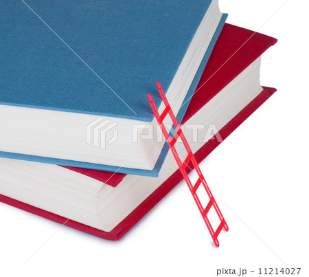 Two books with a ladder Two books with a ladder 11214027