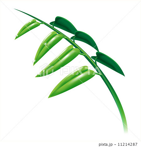 Leaf and water drop 2 Leaf and water drop 2 11214287