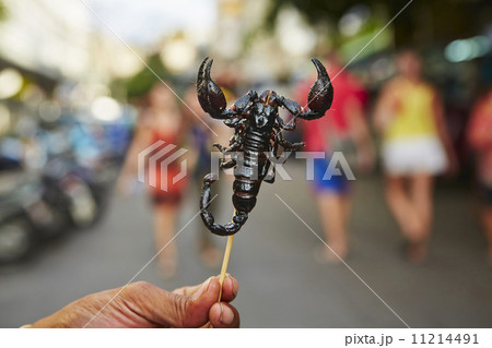 Roasted scorpion 11214491