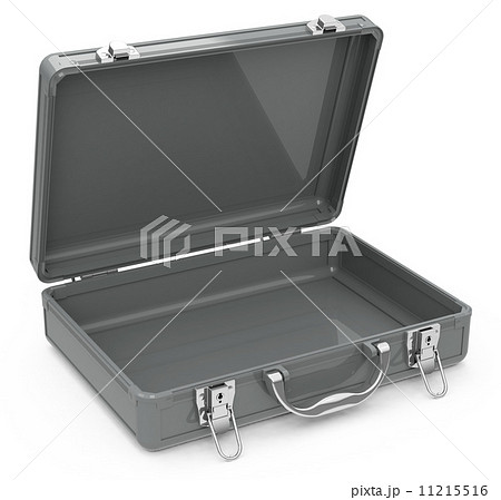 the suitcase 11215516