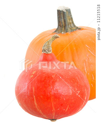 two pumpkins 11215518