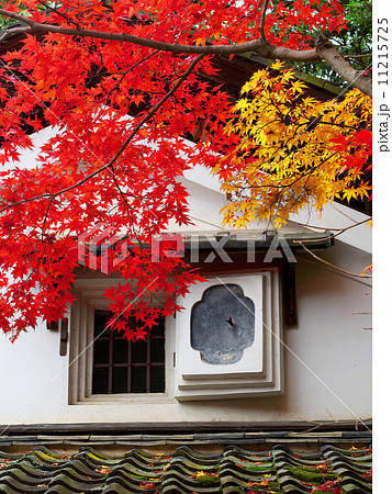 詩仙堂 - 紅葉 11215725