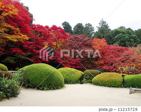 詩仙堂 - 紅葉 詩仙堂 - 紅葉 11215729