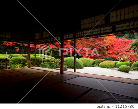 詩仙堂 - 紅葉 詩仙堂 - 紅葉 11215730