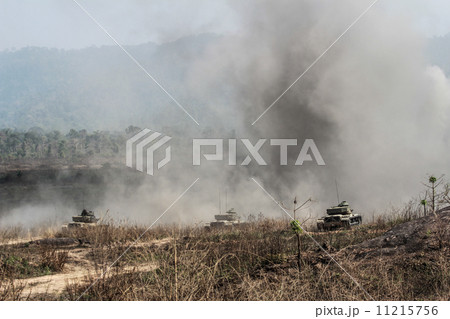 tank type69 11215756