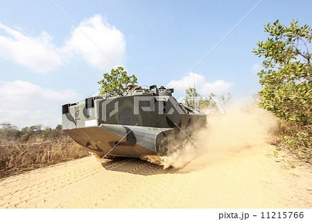 aav aav 11215766