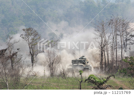 tank type69 11215769
