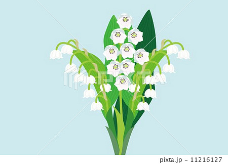 スズランの花のイラスト素材 11216127 Pixta
