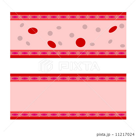 シンプル血管のイラスト素材