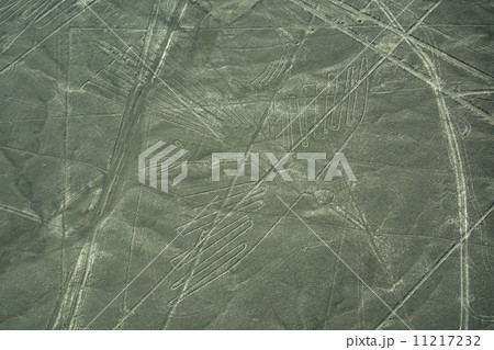 ナスカの地上絵・コンドル 11217232