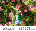 バラ 11217311
