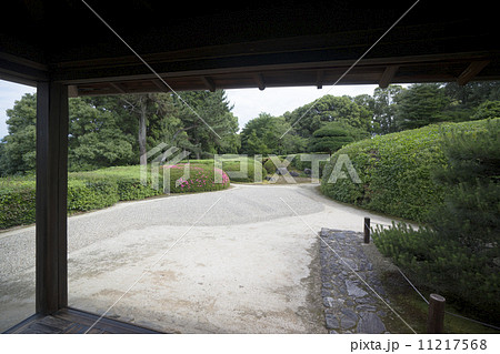 奈良　大和郡山　慈光院客間よりみる石庭 11217568
