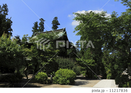 円覚寺の夏 11217836