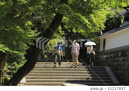 円覚寺の夏 11217837