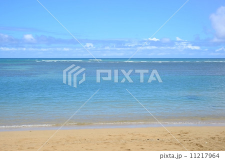 カハラ海岸 11217964