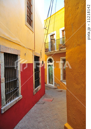 グアナファト 11218142