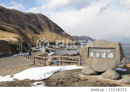 春先の黄金道路。 11218223