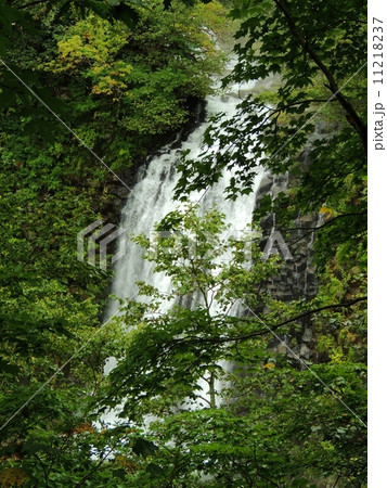 知床半島の風景　熊越の滝 11218237