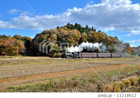 水郡線を走るSL 水郡線を走るSL 11218612