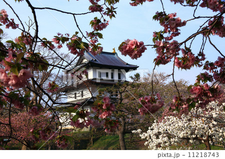 松前城と桜 松前城と桜 11218743