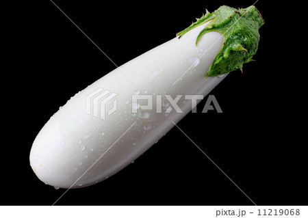 白茄子 11219068