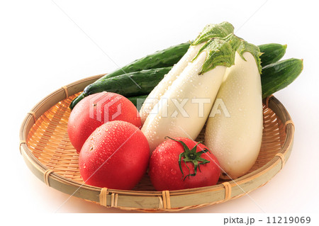 夏野菜 11219069