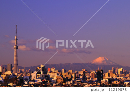 富士山とスカイツリー 11219078