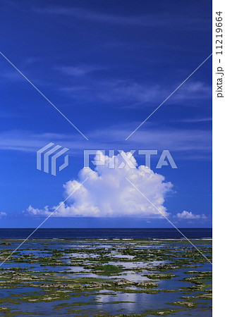 沖縄の海と空 沖縄の海と空 11219664