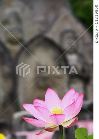 喜光寺 喜光寺 11219860