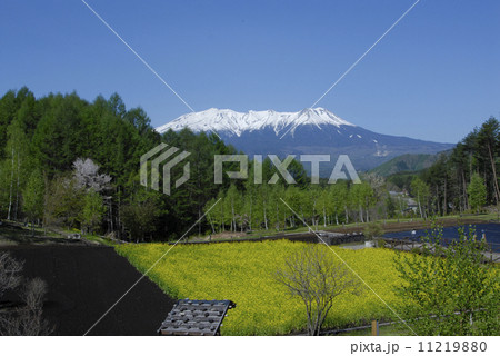 木曽の御嶽山　おんたけ 11219880