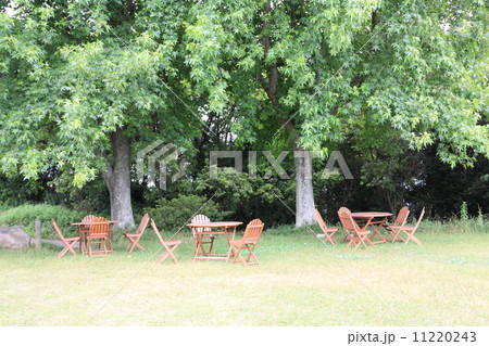 牛窓オリーブ園 牛窓オリーブ園 11220243