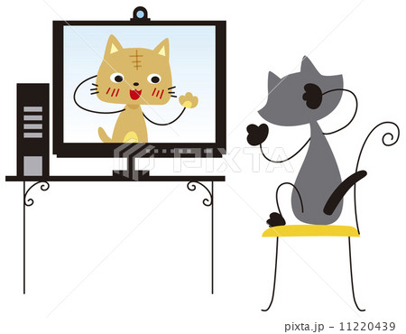インターネットを活用する猫 インターネットを活用する猫 11220439