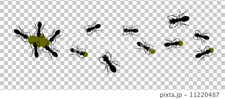 Illustration of a large group of ants carrying food in a procession 11220487
