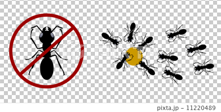 Disinfection 11220489