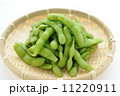 枝豆 11220911