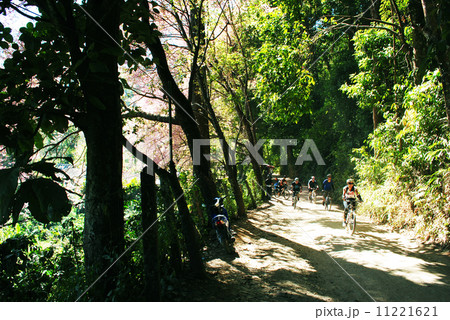 MOUNTAIN BIKE MOUNTAIN BIKE 11221621