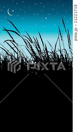 Reeds Reeds 11221719